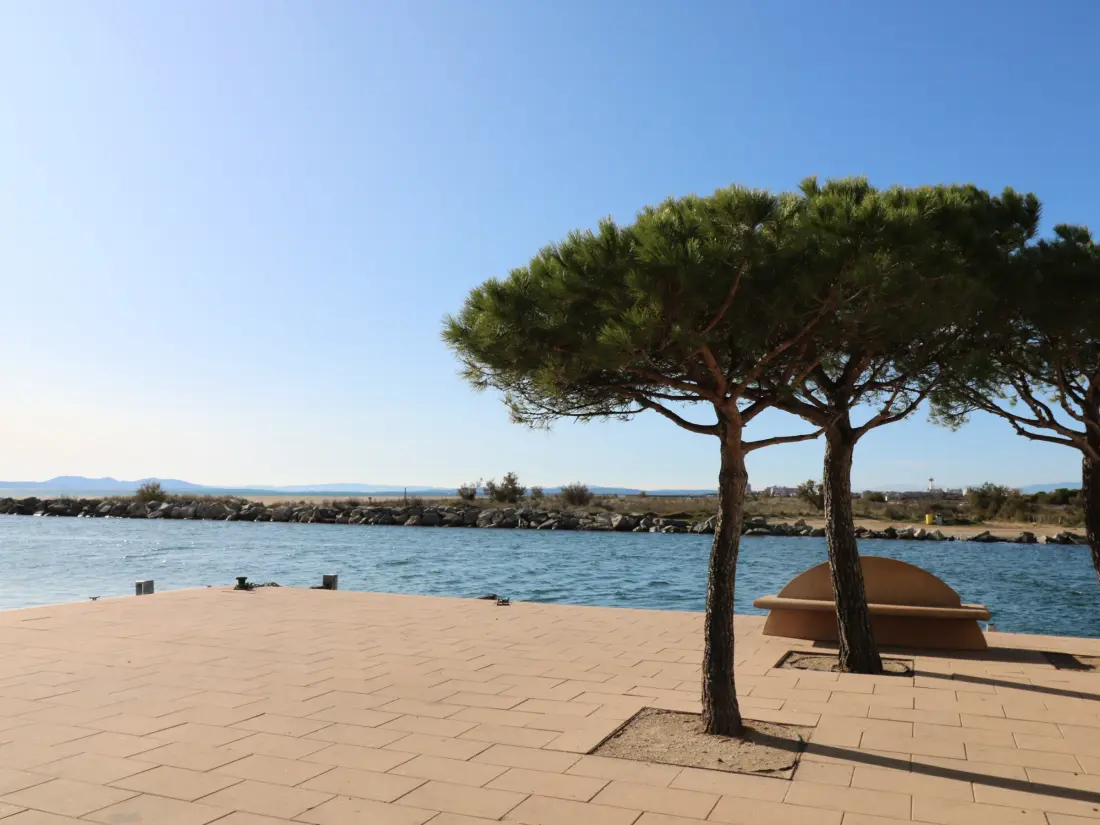 Location de Vacances Roses 1250