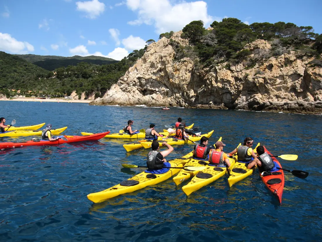 Location de Vacances Roses 1250