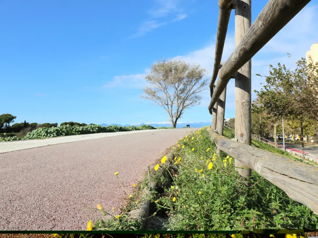Location de Vacances Roses 1250