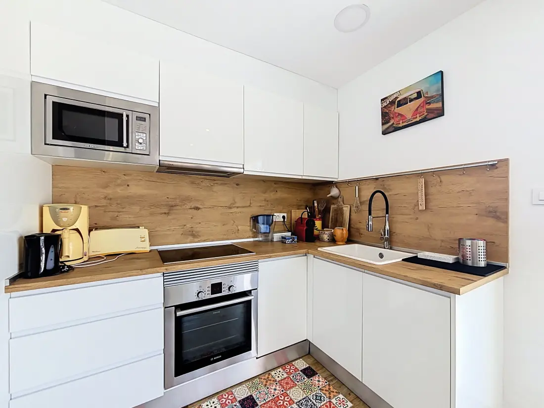 Location de Vacances Roses 1251