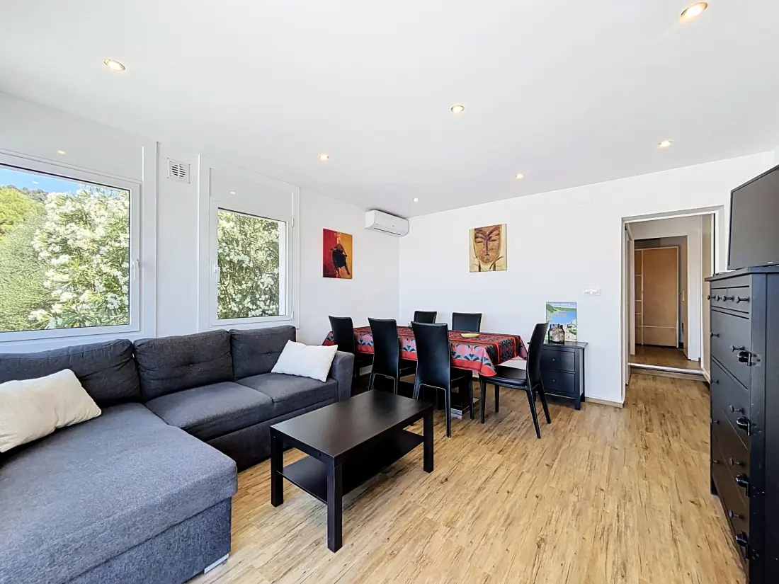 Location de Vacances Roses 1251
