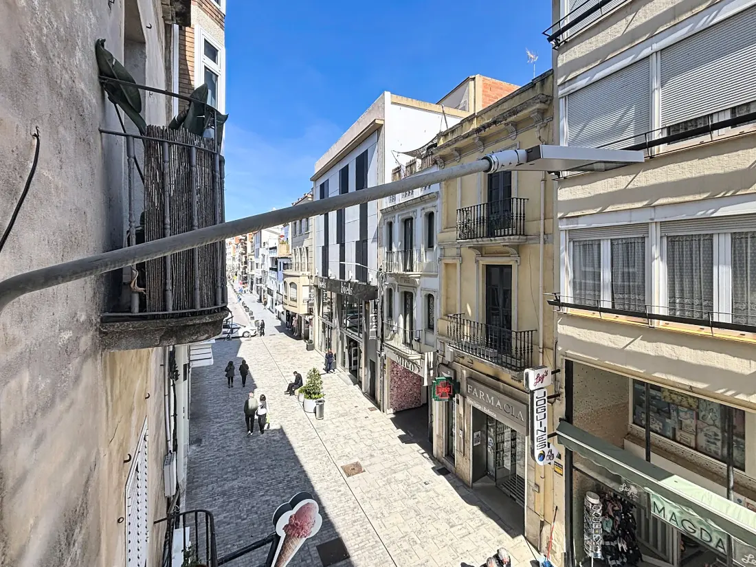 Location de Vacances Roses 1254