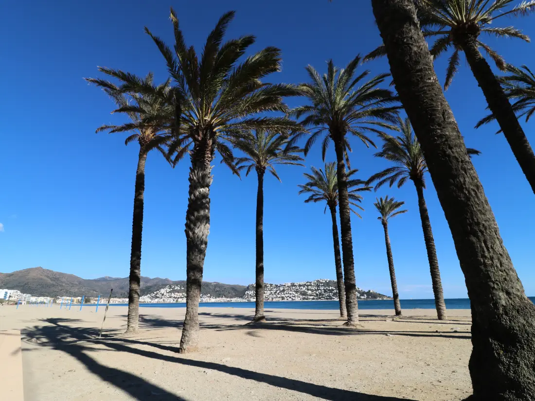 Location de Vacances Roses 1255