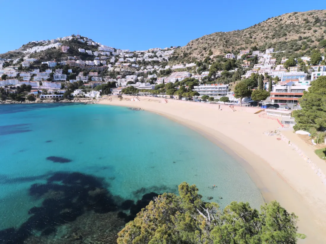 Location de Vacances Roses 1255