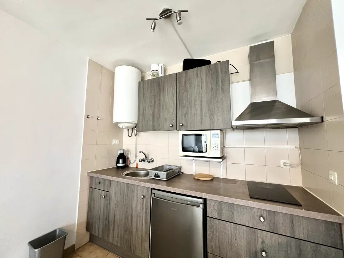 Location de Vacances Roses 1255