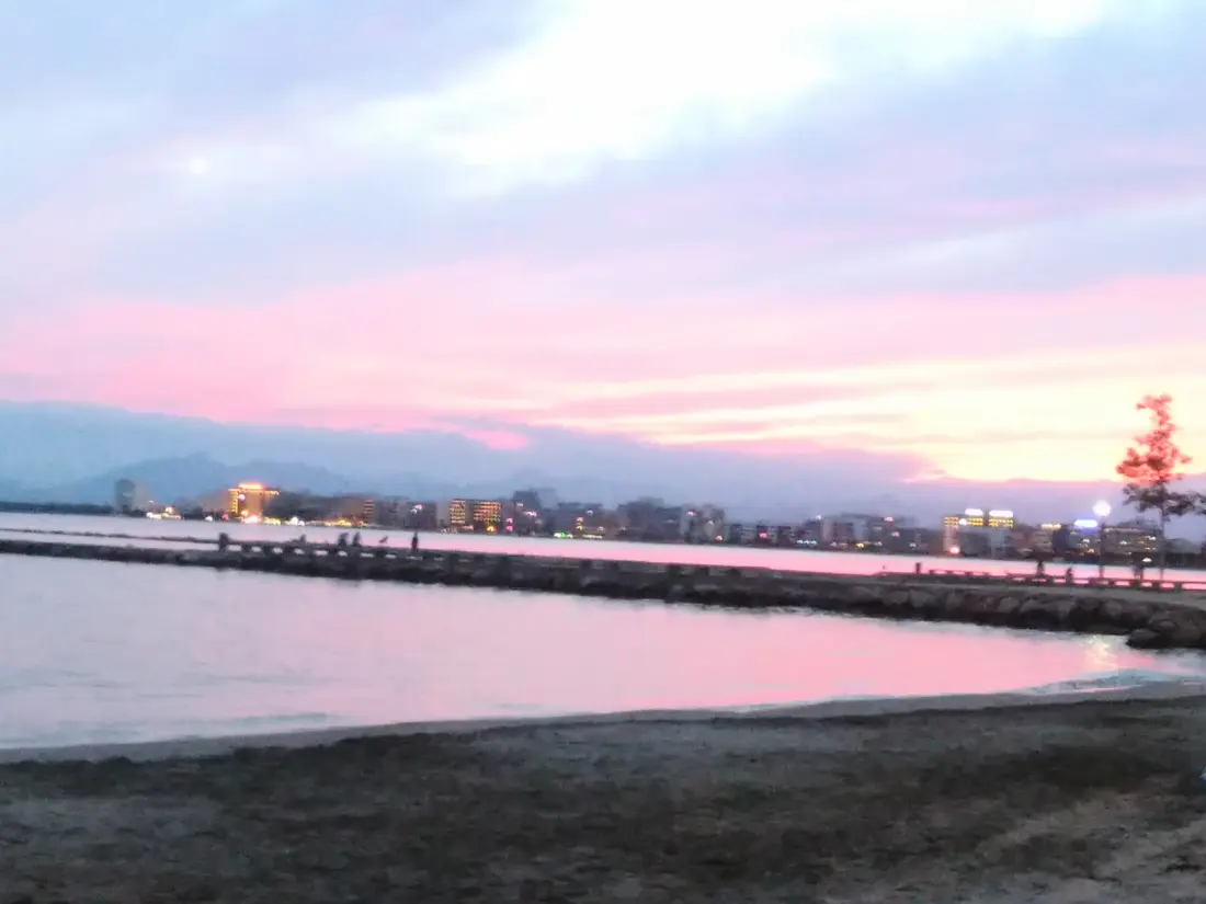 Location de Vacances Roses 1255