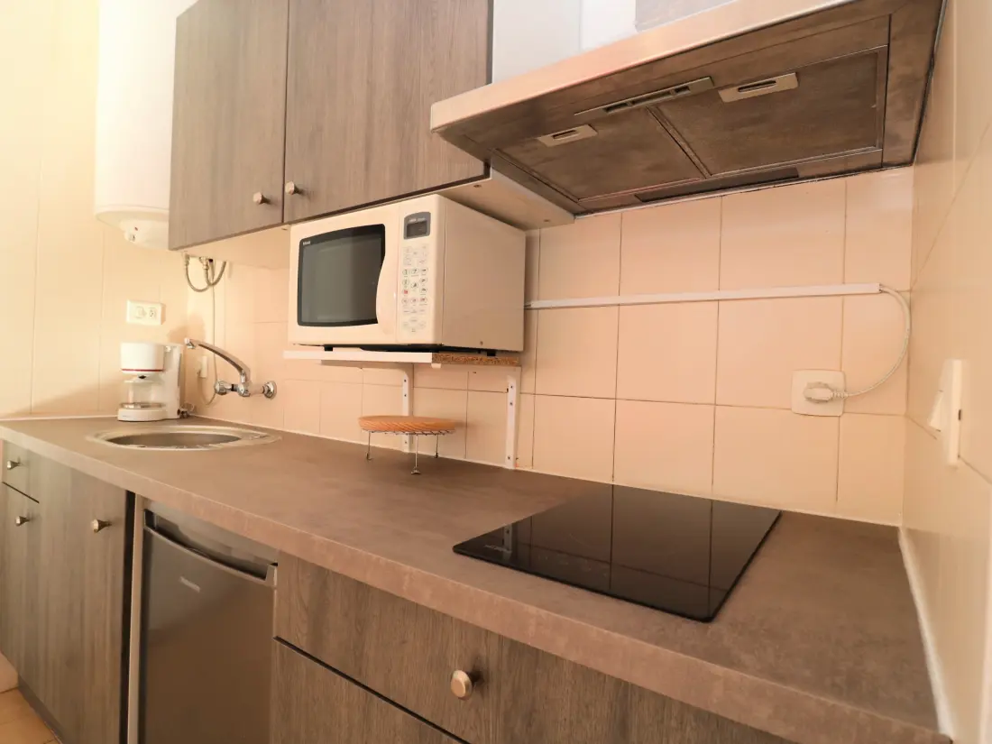 Location de Vacances Roses 1255