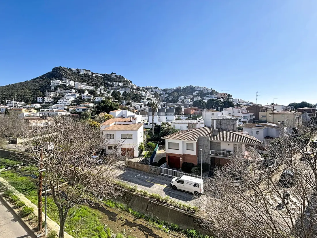 Location de Vacances Roses 1256