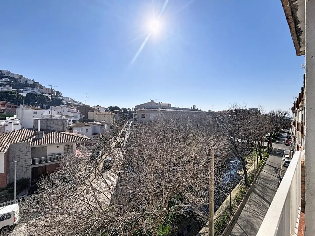 Location de Vacances Roses 1256