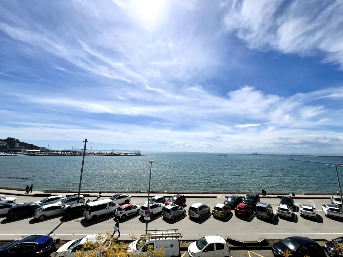 Location de Vacances Roses 1258