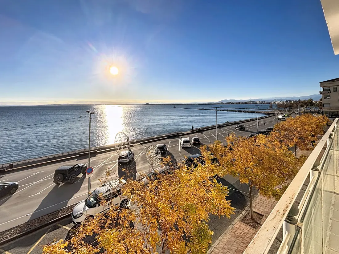Location de Vacances Roses 1258
