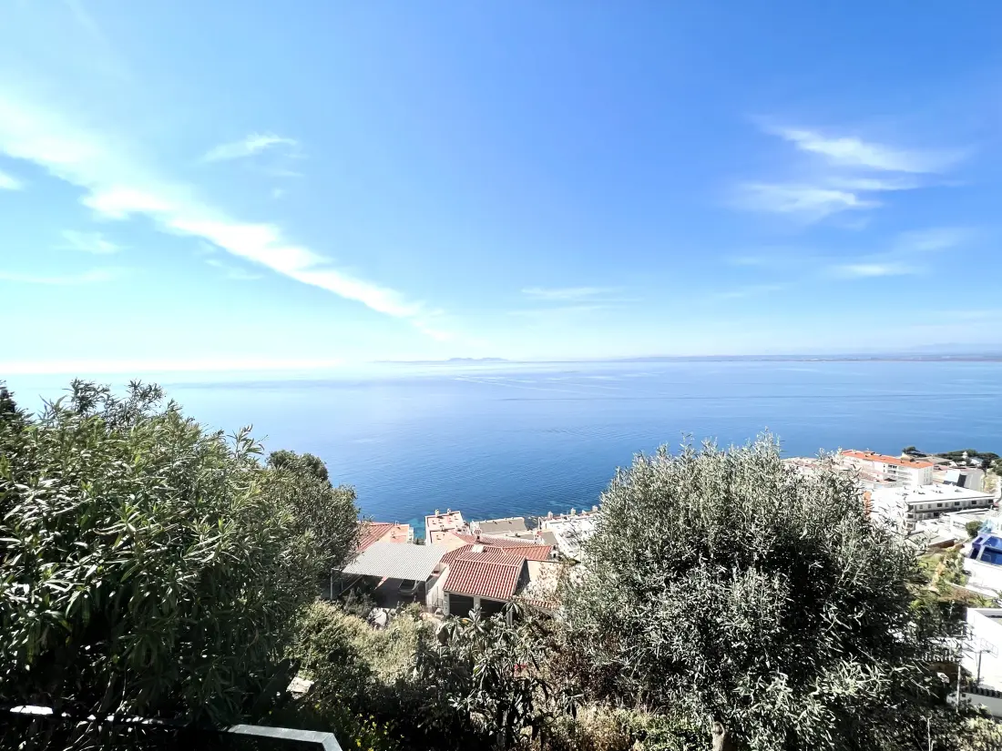 Location de Vacances Roses 1259