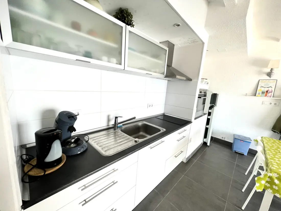 Location de Vacances Roses 1259