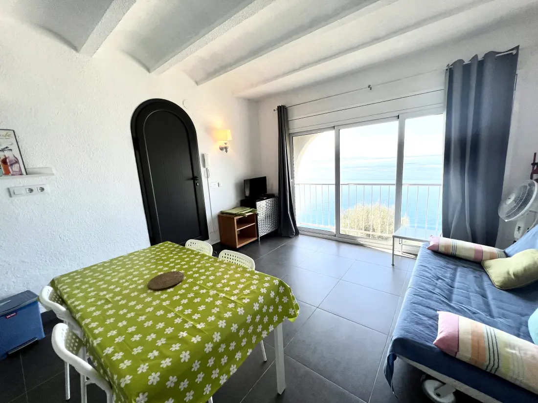 Location de Vacances Roses 1259