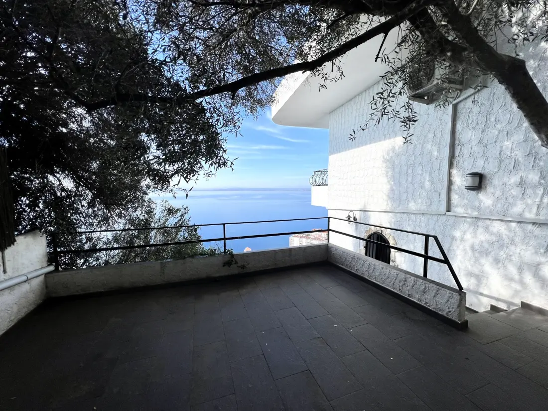 Location de Vacances Roses 1259