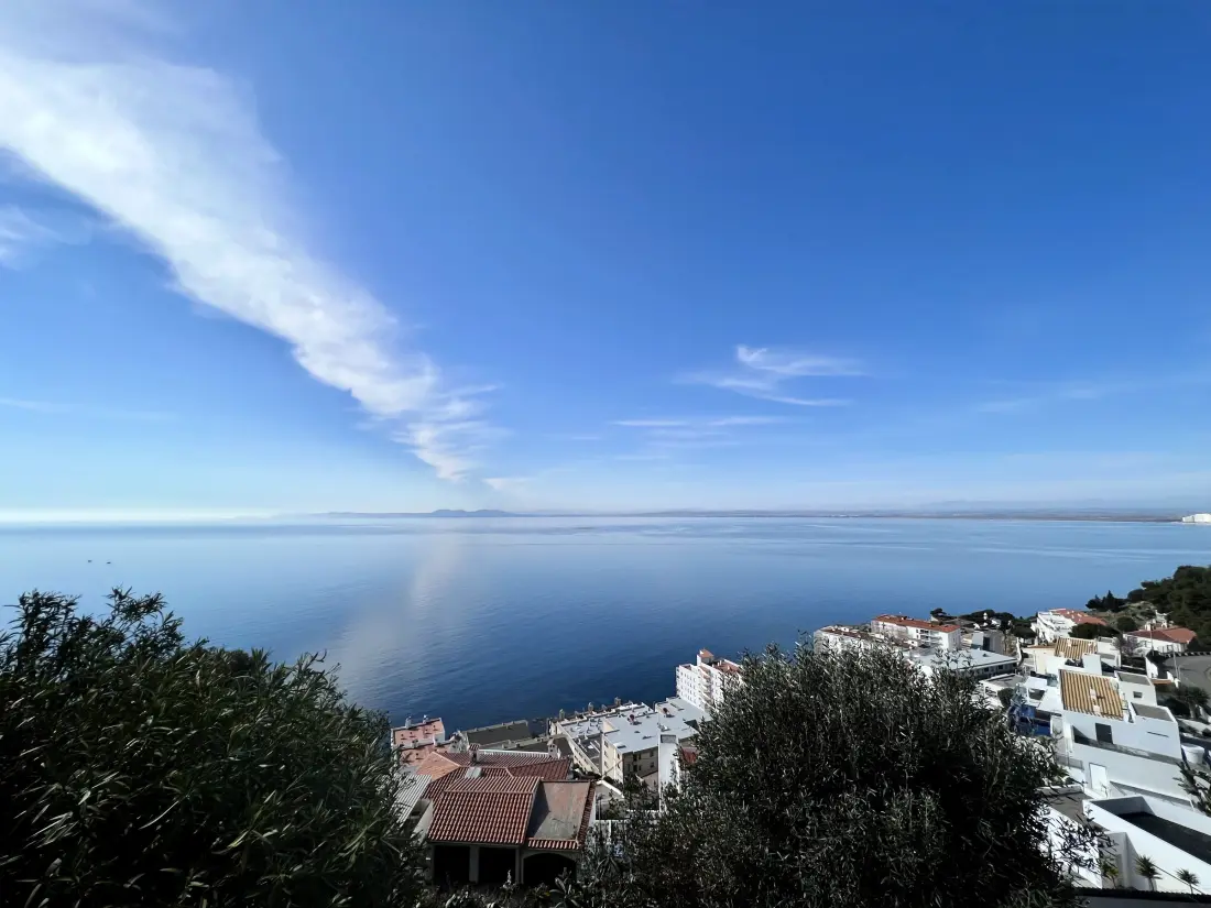 Location de Vacances Roses 1259