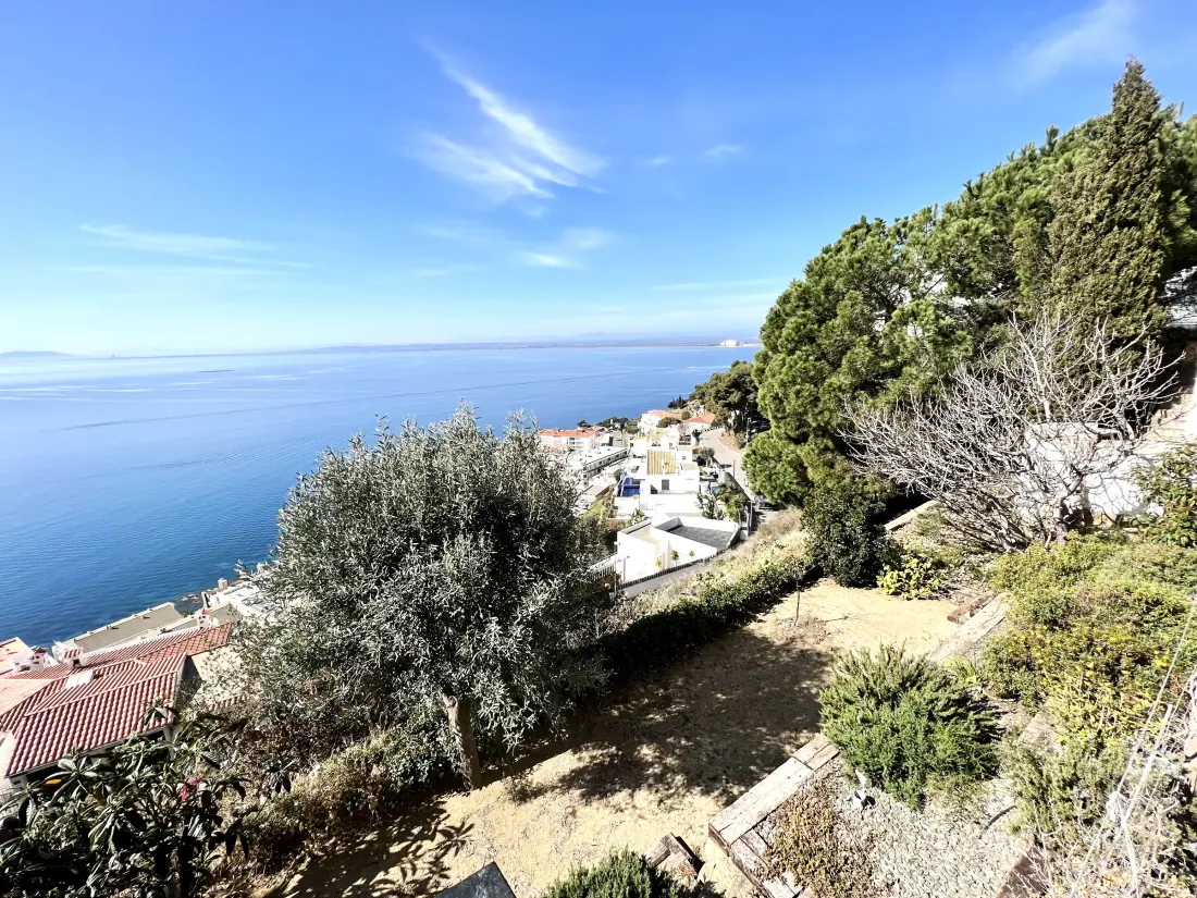 Location de Vacances Roses 1259