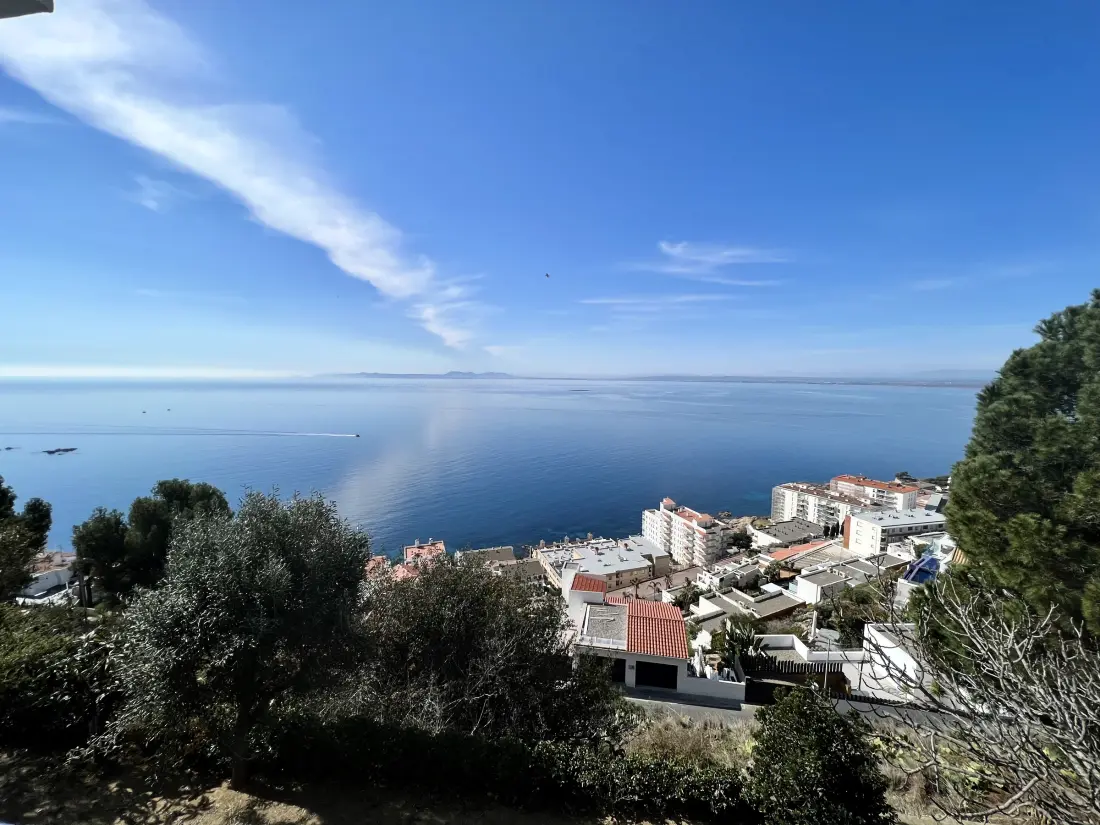 Location de Vacances Roses 1259