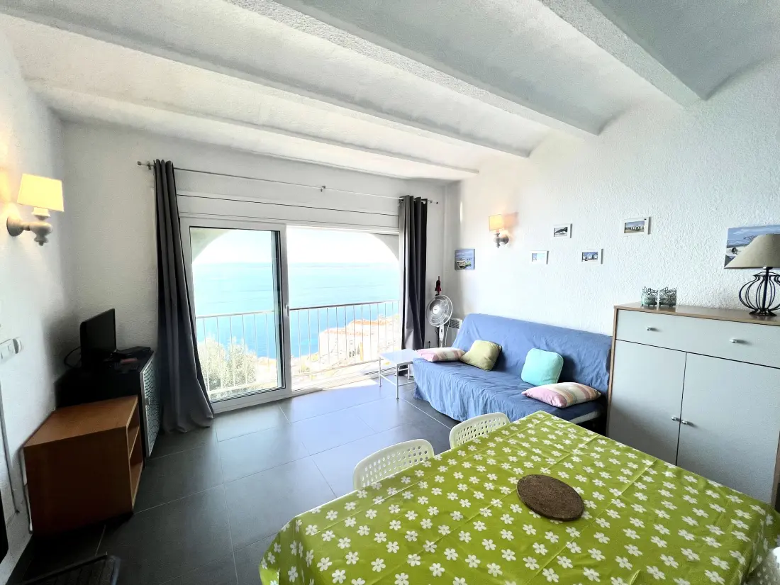 Location de Vacances Roses 1259