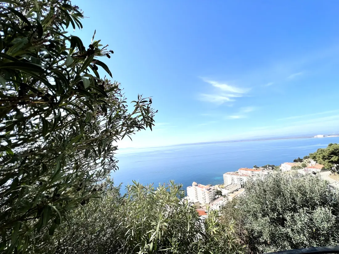 Location de Vacances Roses 1259