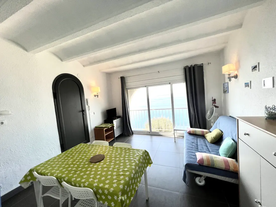 Location de Vacances Roses 1259