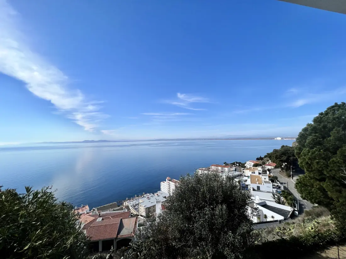 Location de Vacances Roses 1259
