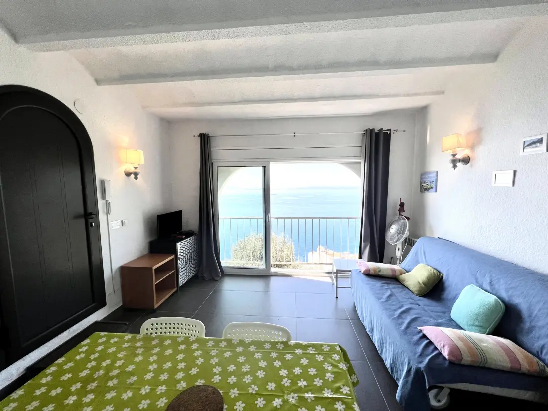 Location de Vacances Roses 1259
