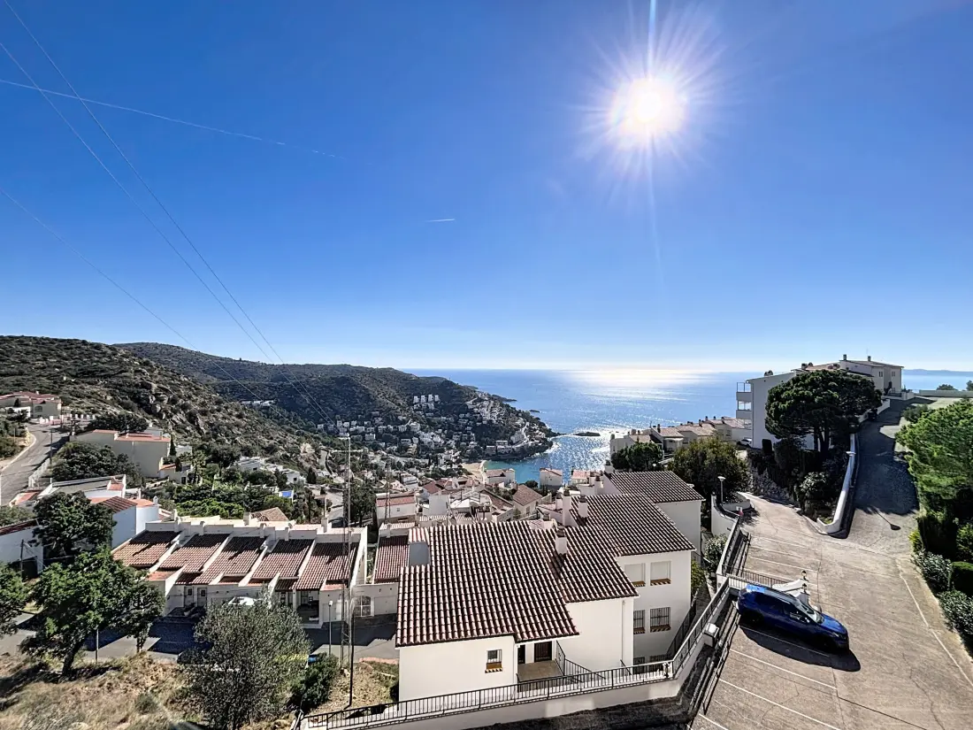 Location de Vacances Roses 1264