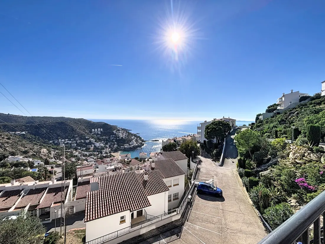 Location de Vacances Roses 1264