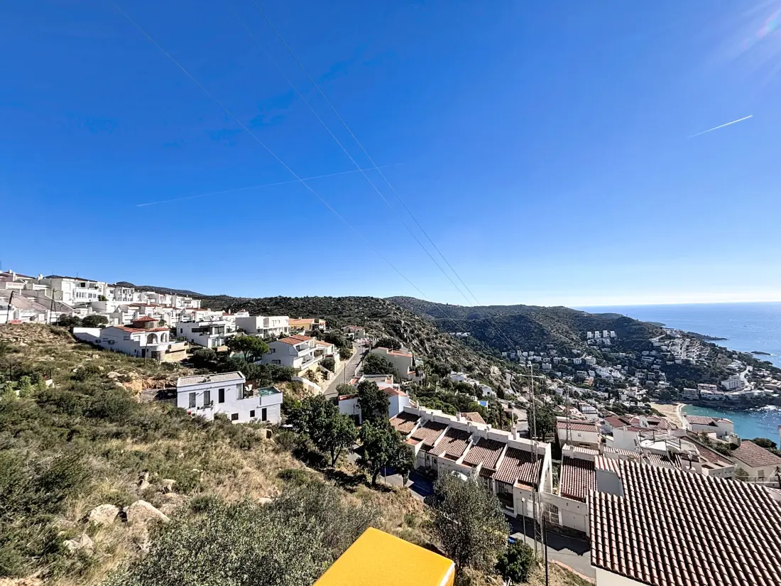 Location de Vacances Roses 1264
