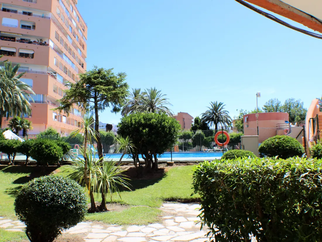 Location de Vacances Roses 1267