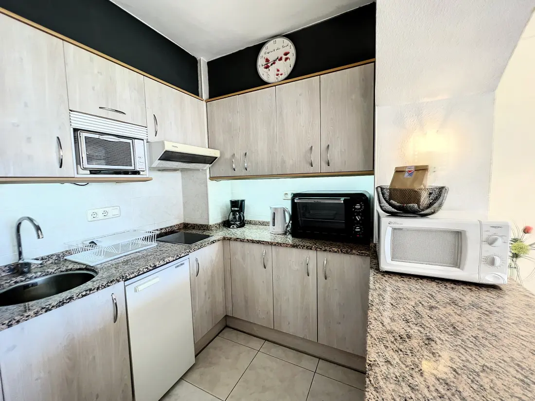 Location de Vacances Roses 1267
