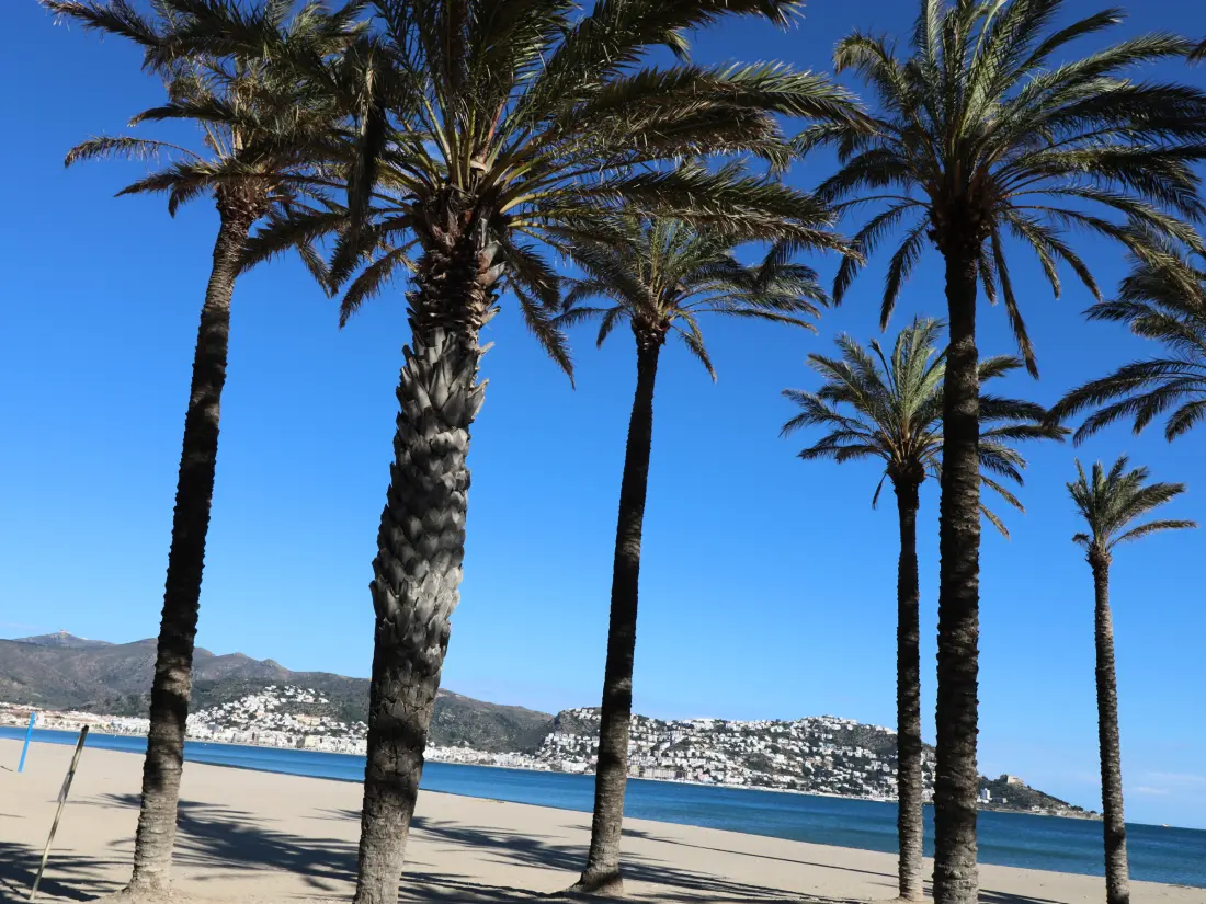 Location de Vacances Roses 1273