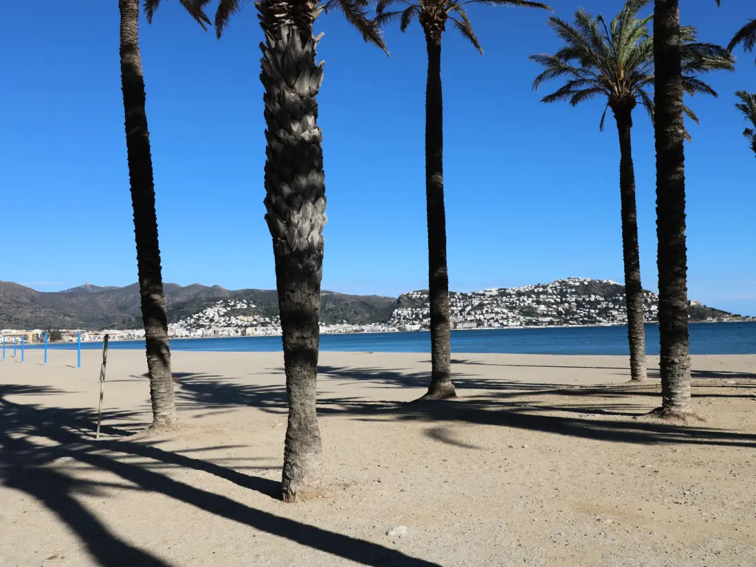 Location de Vacances Roses 1274