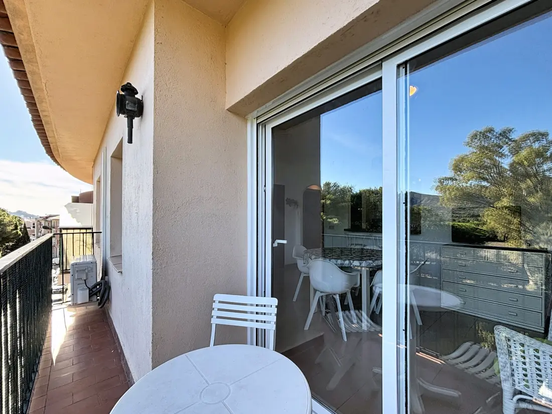 Location de Vacances Roses 1274