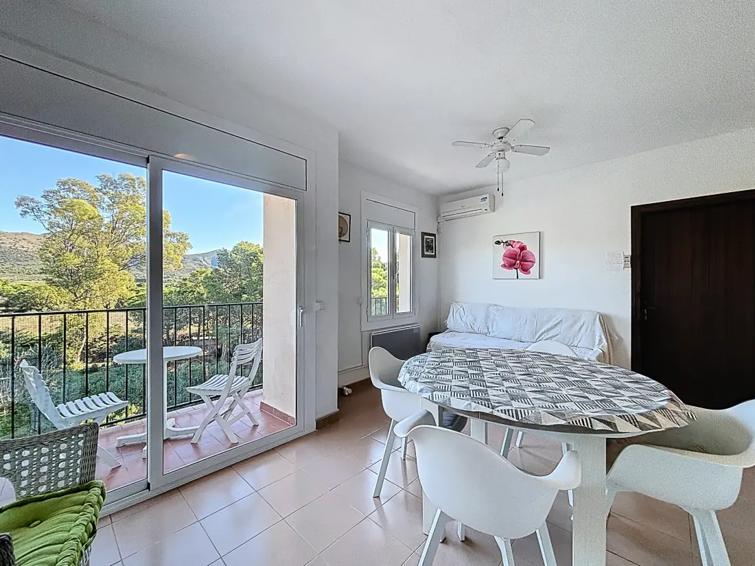 Location de Vacances Roses 1274