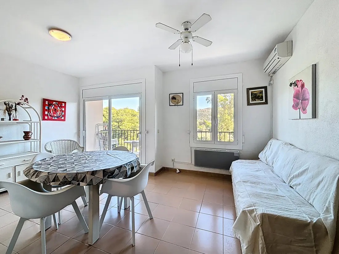 Location de Vacances Roses 1274