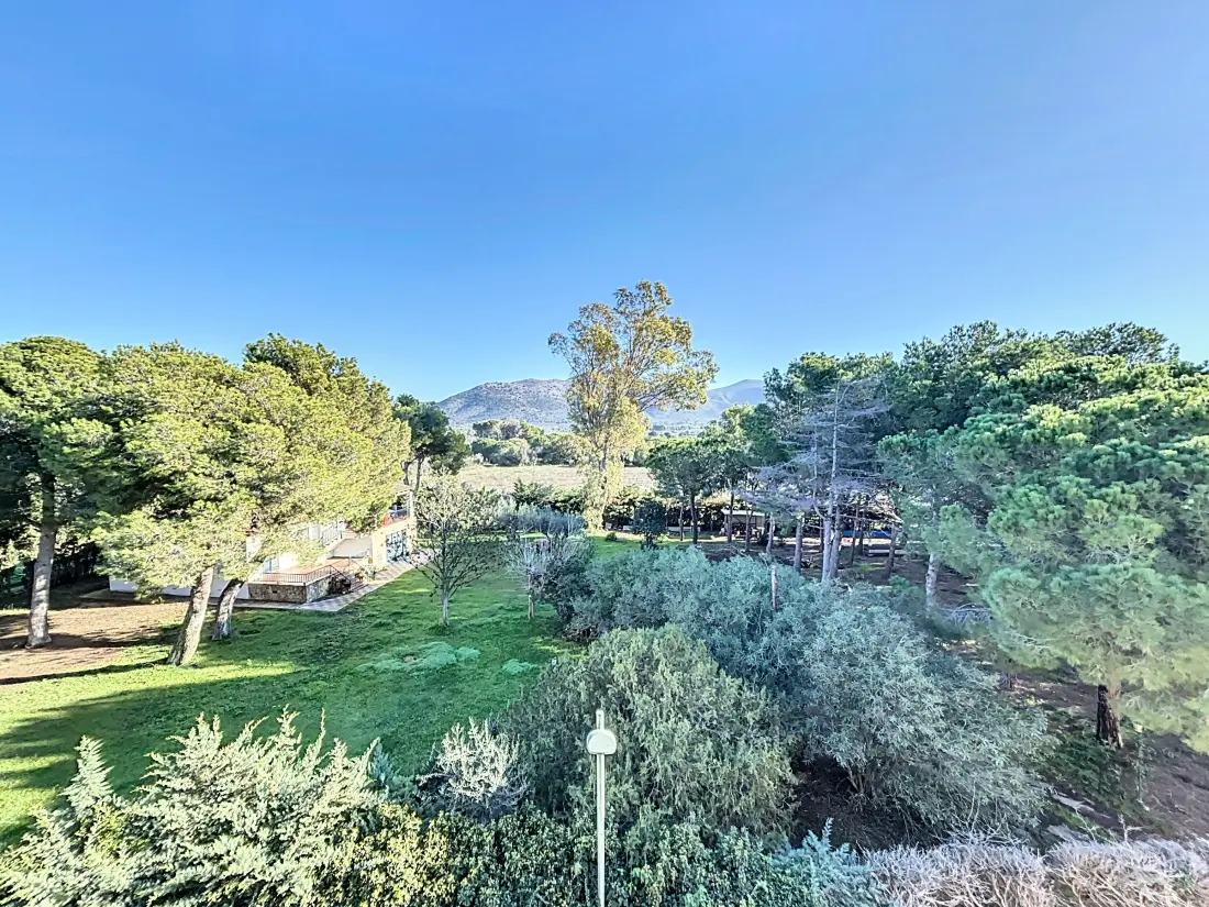 Location de Vacances Roses 1274