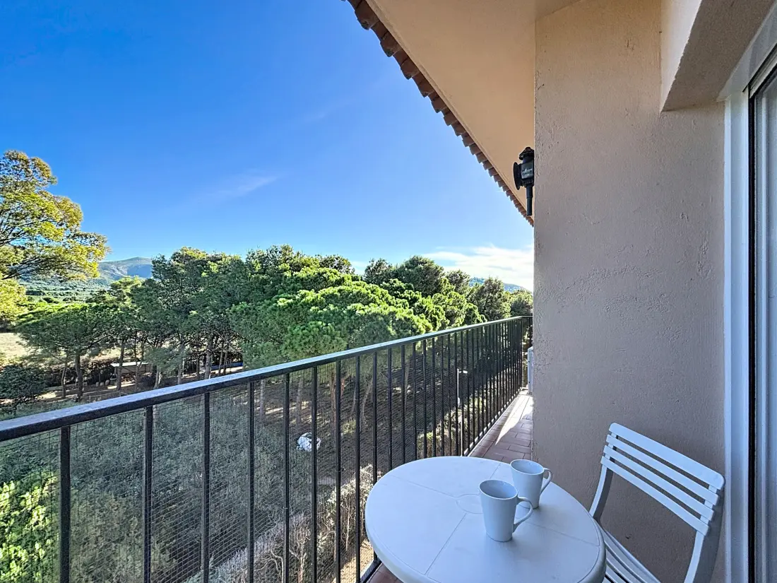 Location de Vacances Roses 1274