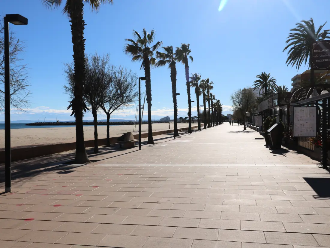 Location de Vacances Roses 1274