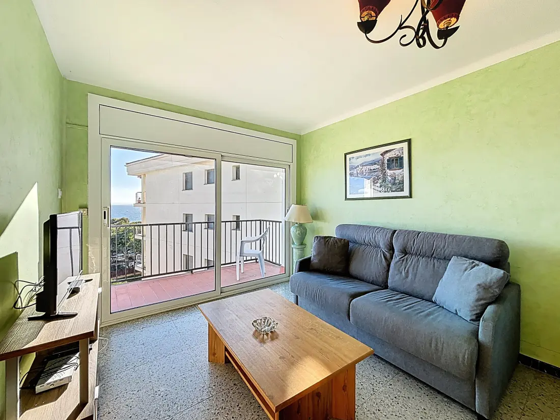 Location de Vacances Roses 1277