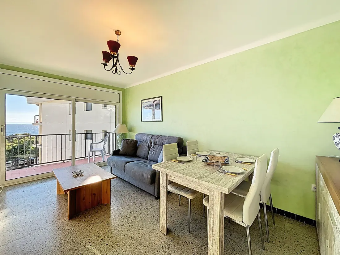 Location de Vacances Roses 1277