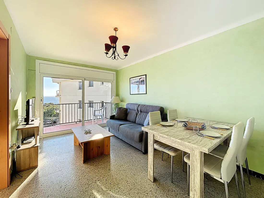 Location de Vacances Roses 1277