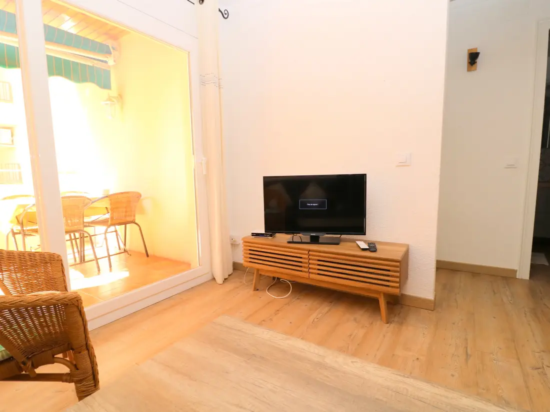 Location de Vacances Roses 1281