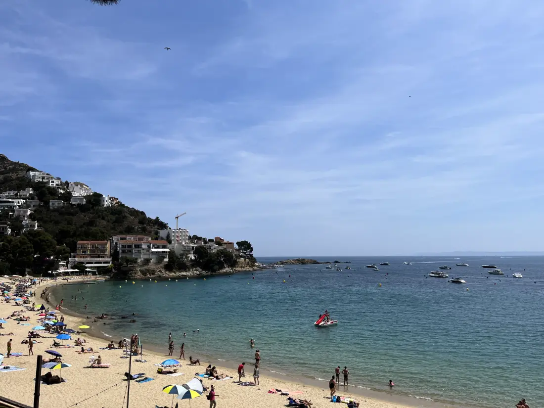 Location de Vacances Roses 1281