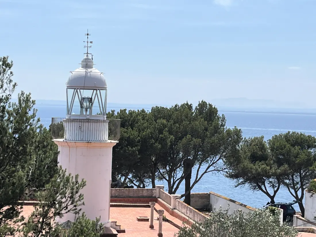Location de Vacances Roses 1281