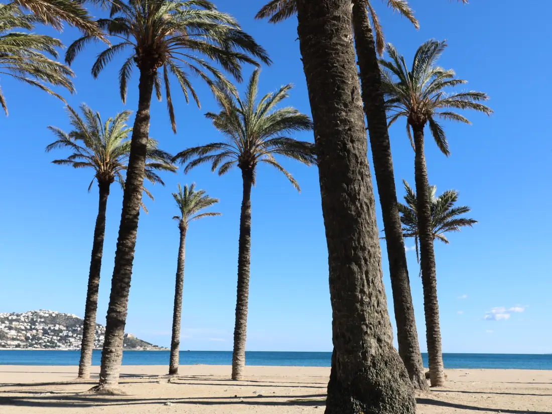 Location de Vacances Roses 1283