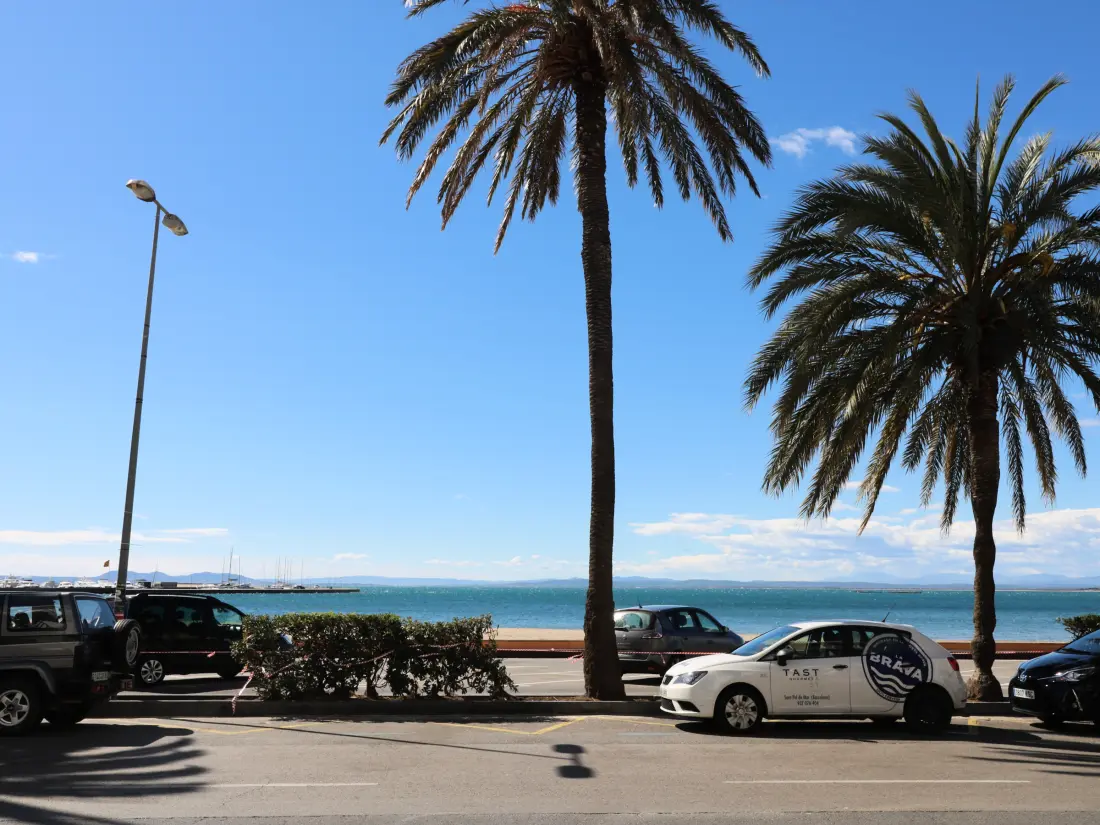 Location de Vacances Roses 1283