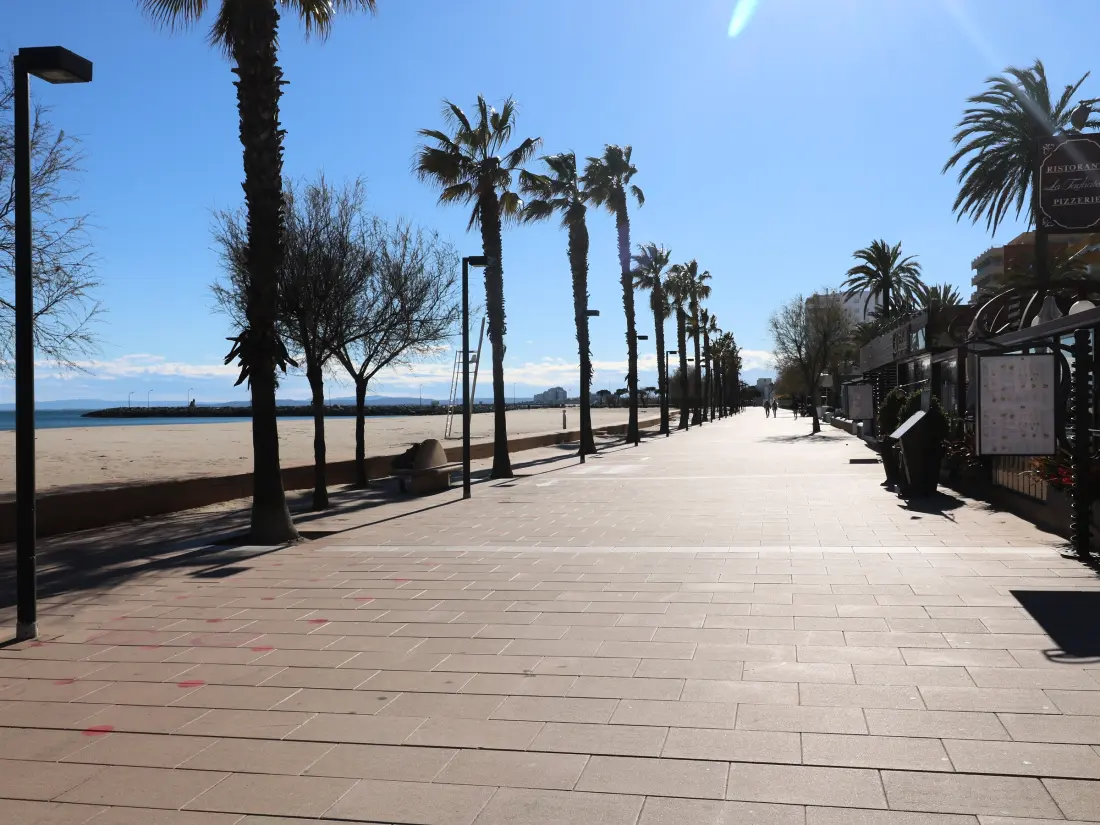 Location de Vacances Roses 1283