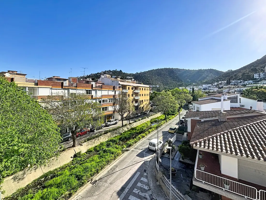 Location de Vacances Roses 1284